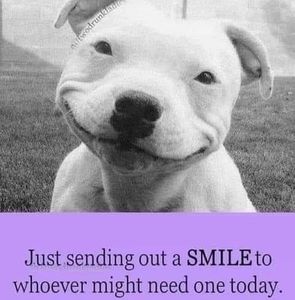 Meet your Posher, Jeff